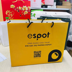 Sac en papier imprimé personnalisé pour vêtements, vêtements,... Sacs en papier de fabrication au Vietnam - Product Image 5