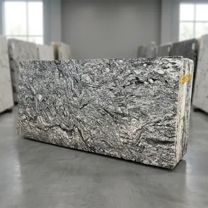 Dalles de granit blanc Viscon de qualité supérieure, pierre naturelle pour comptoirs de cuisine, revêtements de sol, revêtements muraux et intérieurs de luxe - Product Image 1