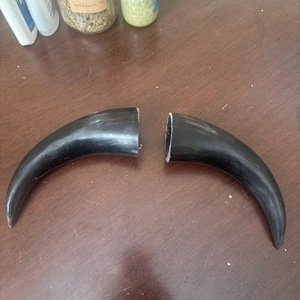 Paire de cornes de bison polies pour décoration murale, design Art Déco écologique, grandes tailles 10 et 18 pouces, pour mariage, anniversaire, Nouvel An, nouveauté - Product Image 1