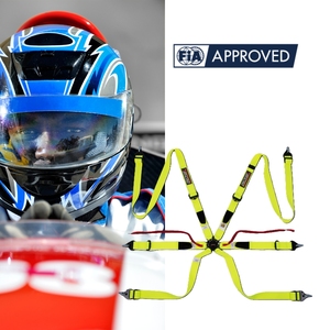 Cinturón de Seguridad de Carreras de Marca Personalizada OEM TBRACING FIA 8853 2016, Servicio de Distribución, Almohadilla Antideslizante, Estructura de Costura de una Sola Pieza - Product Image 2