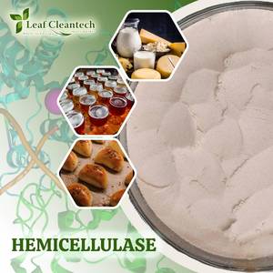Poudre d'enzymes alimentaires à hémicellulase de qualité supérieure fabriquée par Nutrition Products Company Bulk Supply de Bangalore-Karnataka Inde - Product Image 2
