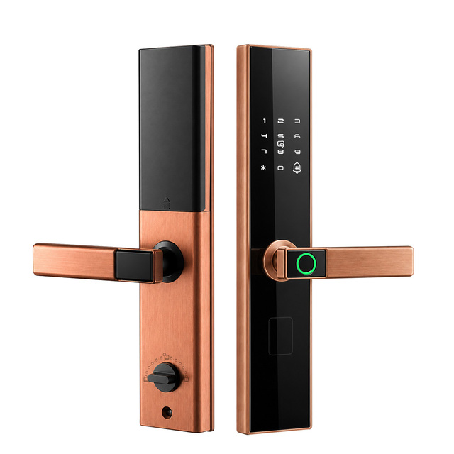 WiFi Smart Lock Tuya TTLock Fingerprint Door Lock Waterproof Password Card Key for Metal Door Wooden Door Red Antique Copper