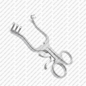 Rétracteur Weitlaner à pointes émoussées, instrument chirurgical auto-serrant, rétracteur tissulaire vétérinaire en acier inoxydable, fournisseur OEM - Product Image 5