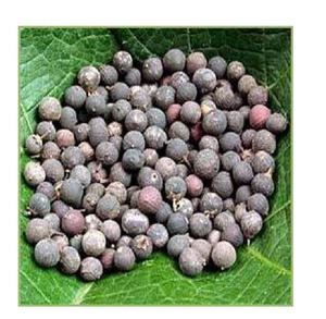 Proceso de extracción de fluidos súper críticos de extracto de plantas de alta calidad Vavding - Product Image 1