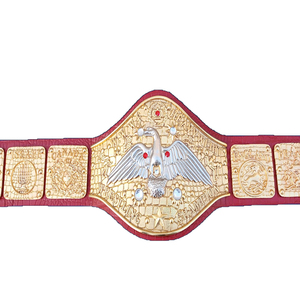 Cinturón de Campeonato con Cordones, Transpirable, de Cuero PU, para MMA, Boxeo, Muay Thai, Taekwondo, Entrenamiento, Evento Especial 2026 - Product Image 3