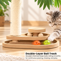 Grattoir pour chat 2-en-1 en cocotier avec piste à billes en bois à double couche