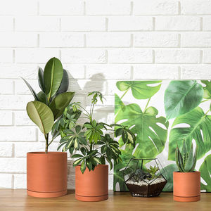 Vente en gros de pots de fleurs en terre cuite classiques pour plantes succulentes de jardin de 4, 5 et 6 pouces avec plateau, tailles assorties, pot en argile avec soucoupe - Product Image 1