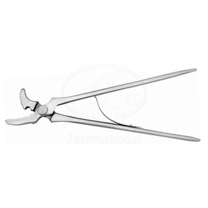 Clavadora de herraduras curva GE con resorte, de acero, 12 pulgadas, herramienta profesional para herradores - Product Image 4