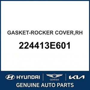 แกรนด์เออร์/อาเซร่า ปะเก็นและซีลใหม่ ด้านขวา 224413E601 - Product Image 1