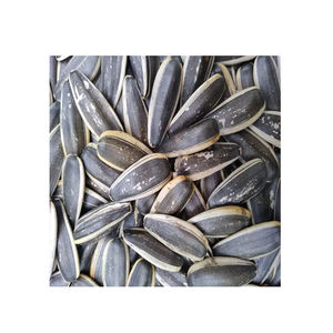 เมล็ดทานตะวันดิบคุณภาพสูง - Product Image 6