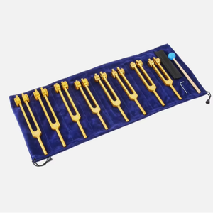 Meilleures ventes : Ensemble de diapasons de chakra lestés pour la thérapie sonore et la guérison, 7 chakras + 1 OM, avec marteau - Product Image 1