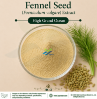 Extrait de Fenouil (Foeniculum vulgare) Pur et Naturel de Qualité Alimentaire (Approvisionnement Direct Usine HGO) 4:1 5:1 10:1 20:1 100:1 200:1