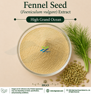 HGO Factory Direct Supply of Pure Natural Fennel (Foeniculum vulgare) Extract (Health food Grade) 4:1 5:1 10:1 20:1 100:1 200:1 - Product Image 1