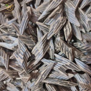 Impact olfactif intense Oud de Tigre Vietnamien - Product Image 5