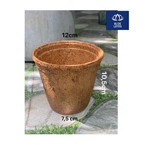 MACETA DE FIBRA DE COCO ECOLOGICA, SEGURA Y LIMPIA, PRODUTO BIOLOGICO DE COCO PURO, IDEAL PARA CULTIVO DE RAÍSES Y PLANTAS DE FLORES, PRECIO DIRECTO - Product Image 1