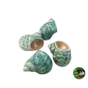 Coastal Style Shell Napkin <b>Rings</b> for Wedding Reception Banquet Event Decoration and Elegant Table Arrangement Supplies - Product Image 6