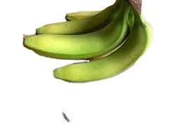 MEJOR PRECIO DE CALIDAD HARINA DE BANANO VERDE ORGÁNICA, Descubra la magia de la HARINA DE BANANO VERDE-MS LINA EXPAD - Product Image 4