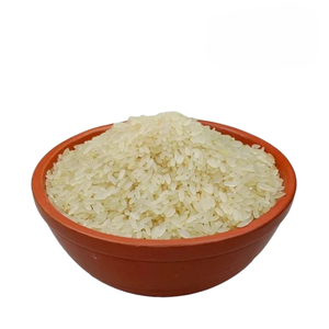 Arroz Parboiled PONNI No Basmati de Grano Largo, Blanco Cremoso, Seco, con 24 Meses de Vida Útil, Exportadores de Sanderi, Gujarat, India - Product Image 4