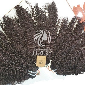 100% vietnamien Remy cheveux alignement complet des cuticules pas d'emmêlement pas de perte eurasienne bouclés dentelle avant perruque avec dentelle HD transparente - Product Image 5