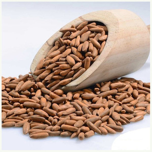 Noix de pin de qualité supérieure, spécialité Chilgoza, noix de pin - Product Image 1