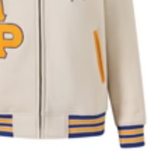 Veste universitaire en polaire neutre Sigma Gamma Rho, broderie chenille, vêtements de sororité grecque, vêtements pour femmes de qualité supérieure - Product Image 5