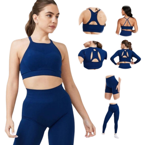Soutien-gorge de sport pour femmes, sans couture, sexy, pour le fitness, le yoga, vêtements de sport, confortable, extensible, respirant, à maintien élevé - Product Image 1