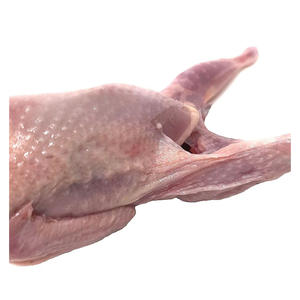 Approvisionnement en gros de cailles halal congelées de haute qualité pour l'exportation et la distribution en gros - Product Image 2