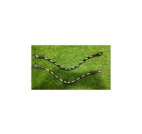 Bande de sourcils de cheval en forme de V de qualité supérieure avec cristaux Hot Fix Produits pour chevaux de haute qualité