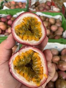 Pulpa y Mitades de Fruta de la Pasión Orgánica Congelada IQF, Grado A, Calidad Premium, Suministro a Granel de Vietnam - Sra. Tarina - Product Image 1