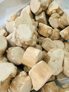 ของเล่นเคี้ยวสำหรับสุนัข รูปทรงคลาสสิกทันสมัย ทำจากไม้กาแฟธรรมชาติ ทนทาน เป็นมิตรกับสิ่งแวดล้อม กันน้ำ บรรจุกล่อง ใช้ทำความสะอาดฟันได้ทุกวัน - Product Image 2