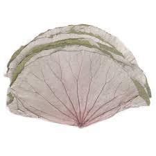 แช่แข็งใบบัวธรรมชาติ100% ชาใบบัวแช่แข็งมุมใบบัว - Product Image 2