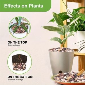 Sassi Decorativi da Giardino Lucidati da 38 libbre, Grandi, da 1,3 Pollici, per Paesaggistica Esterna, Vialetti, Piante, Vasi e Fioriere - Product Image 4