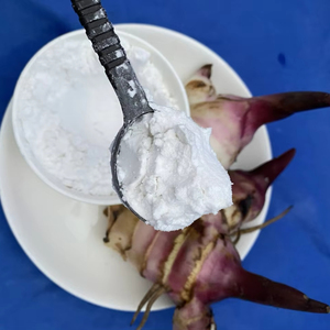 Poudre d'amidon d'arrowroot biologique la plus vendue, goût naturel pour l'alimentation et les ingrédients, emballée en sachet, provenant du Vietnam - Product Image 1