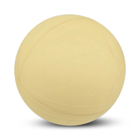Ballon de football gonflable sur mesure GAMEGAZER, taille standard, haute qualité, cousu main, vessie en latex transparent, durable et léger