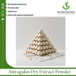 Extrait sec d'Astragale développé pour les besoins de fourniture d'ingrédients commerciaux et de production industrielle - Product Image 5