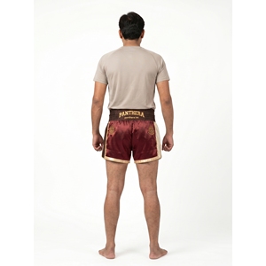 Shorts de Muay Thai personnalisés 100 % micro-satin polyester pour hommes, style rétro, pour la compétition, vêtements de combat, OEM, marque privée, brodés, couleur unie, séchage rapide - Product Image 2