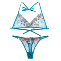 Ensemble de lingerie sportive sexy pour femmes, soutien-gorge en dentelle et culotte hipster, 2 pièces, avec armatures, OEM ODM, logo personnalisé, séchage rapide, respirant, antibactérien