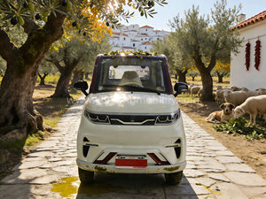 Scooter de mobilité fermé à 4 roues, 2 places, avec homologation EEC L6e, 25 km/h, pour personnes âgées sans permis de conduire - Product Image 2