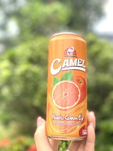 น้ำผลไม้ธรรมชาติอูฐสีส้ม330มล. สามารถปรับแต่งได้ส่งออกเครื่องดื่มระดับโลก - Product Image 5