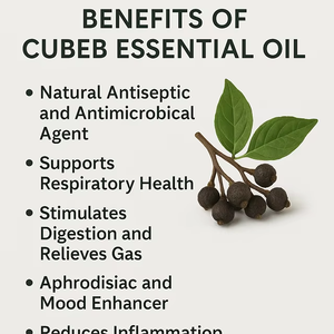 Cubeb <b>Essential</b> <b>Oil</b> 100% Pure Brightening Herbal <b>Oil</b> for Skin Hair Aromatherapy Massage Care Bulk Supply - Product Image 2