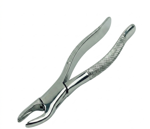 Pinzas de Extracción Dental de Acero Inoxidable con Patrón Inglés, Empuñadura Moleteada Plateada, para Extracción Manual de Dientes Caninos y Premolares Inferiores - Product Image 2