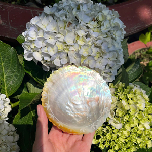 Pearl Of Mother Shell Smooth Vietnam Material For Jewelry Inlay Furniture Decoration Craft Best Price For Wholesale - Product Image 1