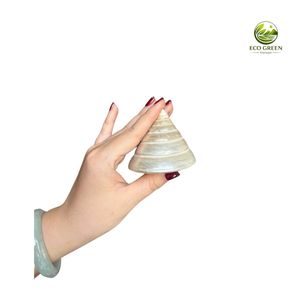 Conchas Marinas Naturales Pulimentadas en Forma de Cono, Conchas Trochus Perladas, Modernas para Peces, para Acuarios, Decoración del Hogar - Product Image 4