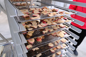 TCA Machine de lyophilisation commerciale séchoir à <span class=keywords><strong>condensation</strong></span> par sublimation lyophilisateur sous vide prix lyophilisateur avec prix d'usine - Product Image 5