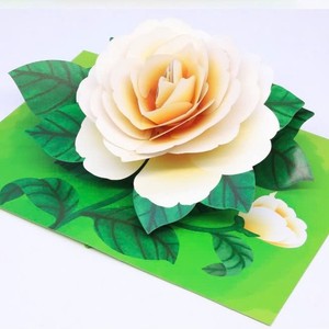 การ์ดป๊อปอัพ 3 มิติ ลายดอกไม้สีขาวหลากสี การ์ดอวยพรทำมือ ของขวัญ การ์ดป๊อปอัพ 3 มิติ ลายดอกไม้ งานฝีมือกระดาษป๊อปอัพ - Product Image 3