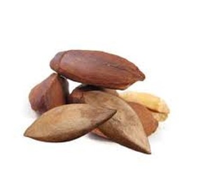 Nueces Pili Frescas - Product Image 3
