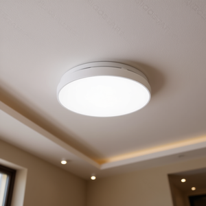 Plafoniera LED 12W 6500K D260mm IP20 per uso domestico interno - Product Image 3