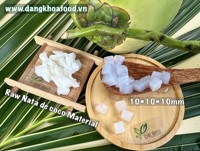 Verse Biologische Rauwe Kokos Nata De Coco Kosher Halal ISO 22000 Gecertificeerd Veganistisch Drankje IJs Dessert DK BIO 24 Maanden Houdbaar