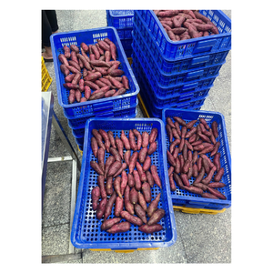 Cubes de patate douce violette surgelés de haute qualité, approvisionnement en gros, service OEM et exportation mondiale depuis le Vietnam - Product Image 1
