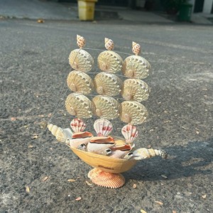 Seashell Handicraft natural sea <b>shell</b> material for home decoration coastal style <b>ornament</b> gift item Vietnam supplier - Product Image 1